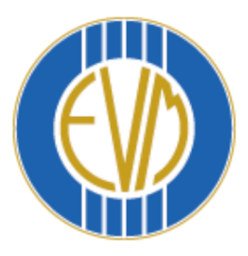 ビニャデルマールAAの画像