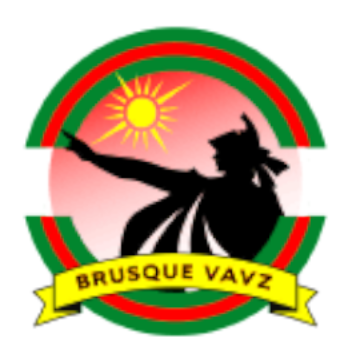 ブルスキVAVPの画像