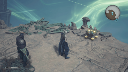 スターピースの画像