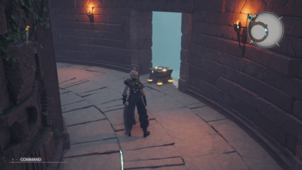 ギガポーションの画像