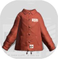 エゾッココーチアカネ画像