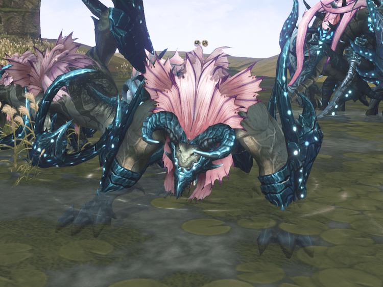 クローズ クローフィオラ