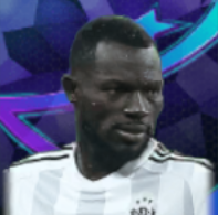 HPオマールコリー(04/04)画像