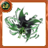 黒緑雷光手裏剣の画像