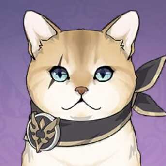 ひょんなことから引き取った不思議な猫画像