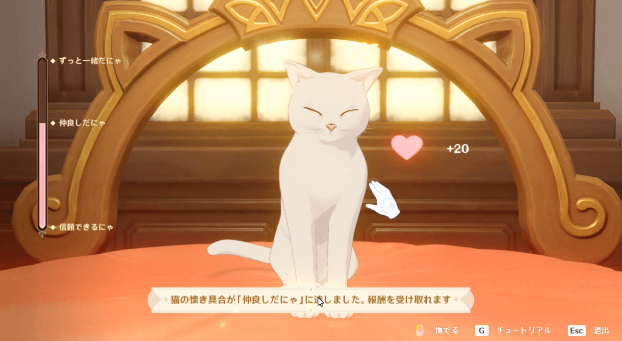 雪大福の懐き具合