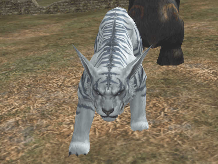 ホワイト クーガー