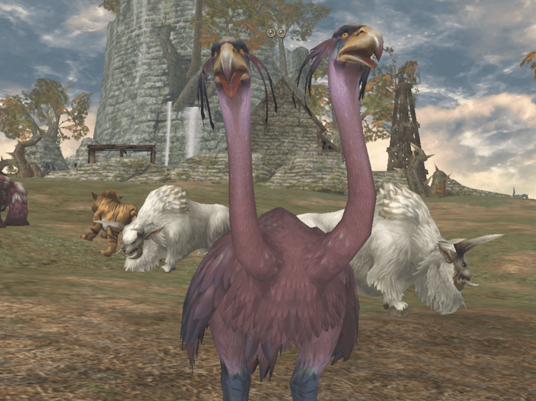 レッド クッカブロ