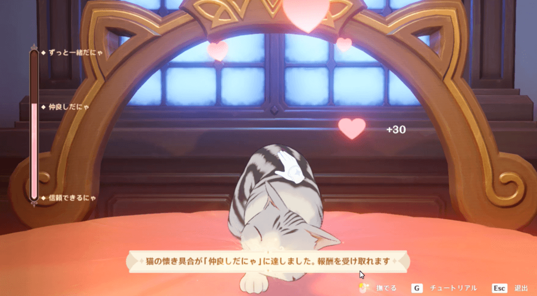 うさぴょんの懐き具合