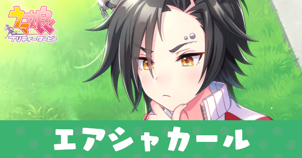 ［道端フィードバック］エアシャカールのアイキャッチ画像