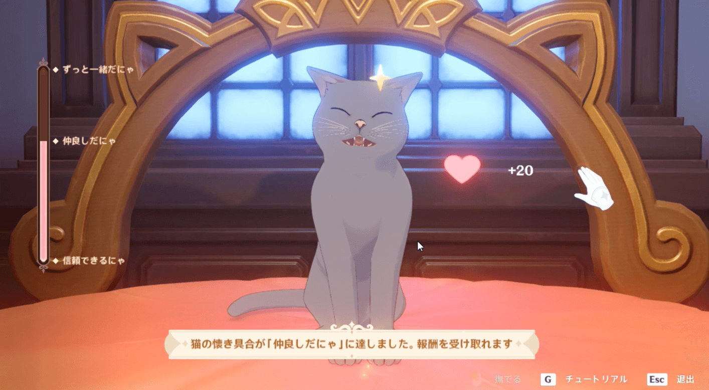 つみれの懐き具合