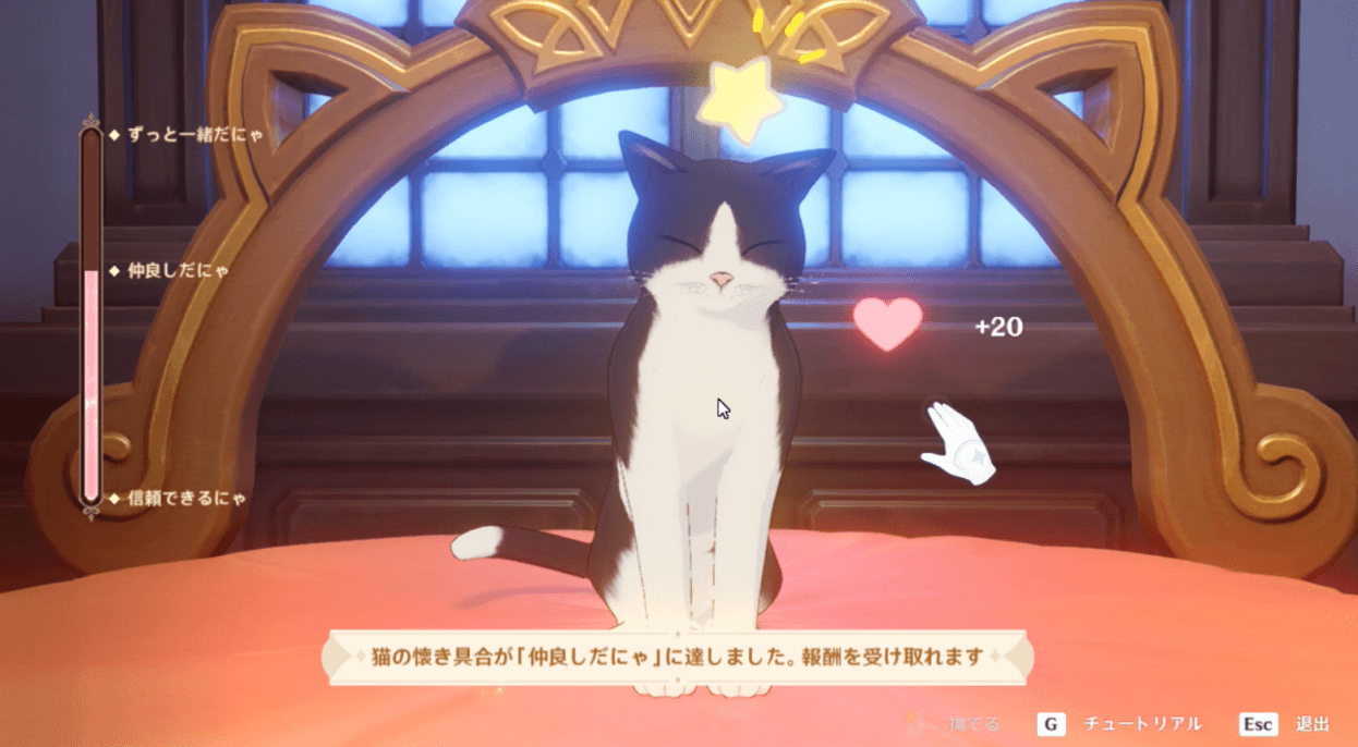 ボーの懐き具合