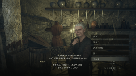 聖樹の里（エルフの里）