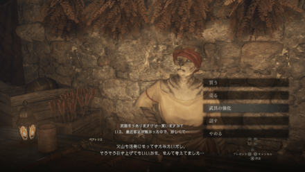 聖樹の里（エルフの里）