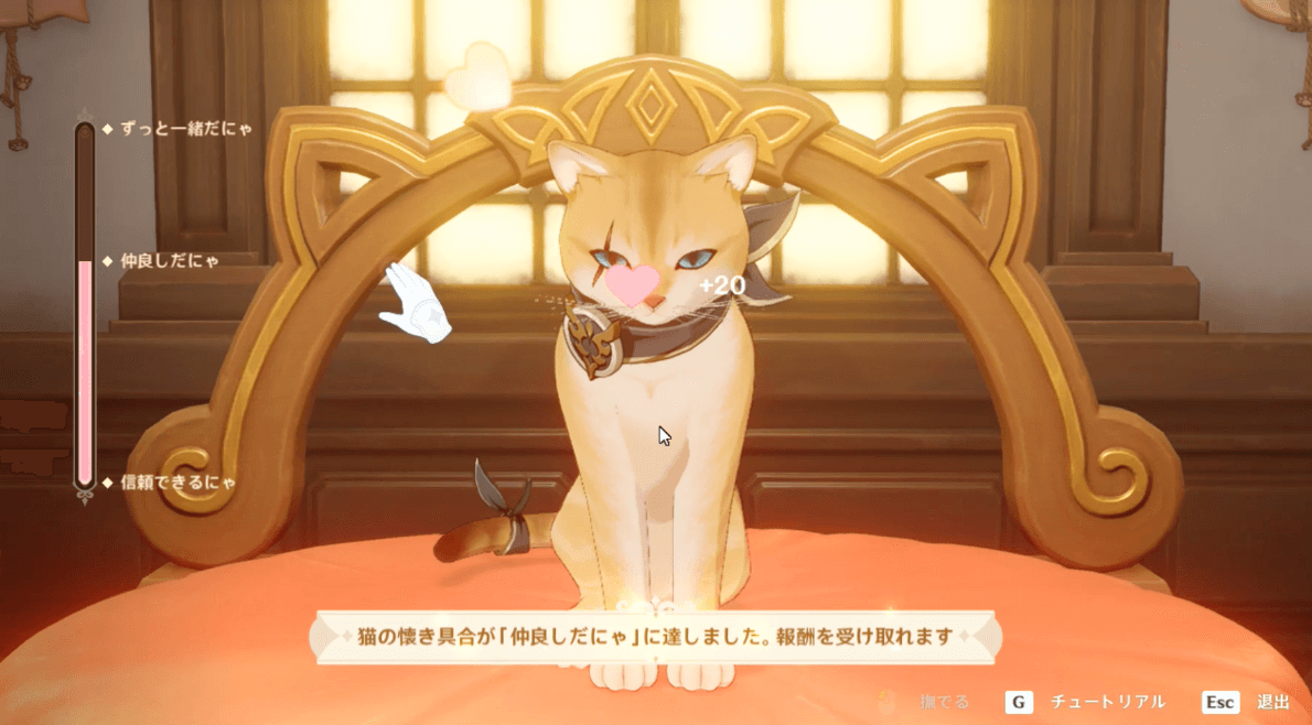 橙色騎士の懐き具合