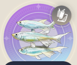 学園小魚の画像