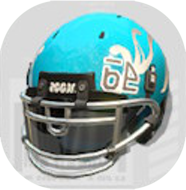 デカメットアイシールド画像