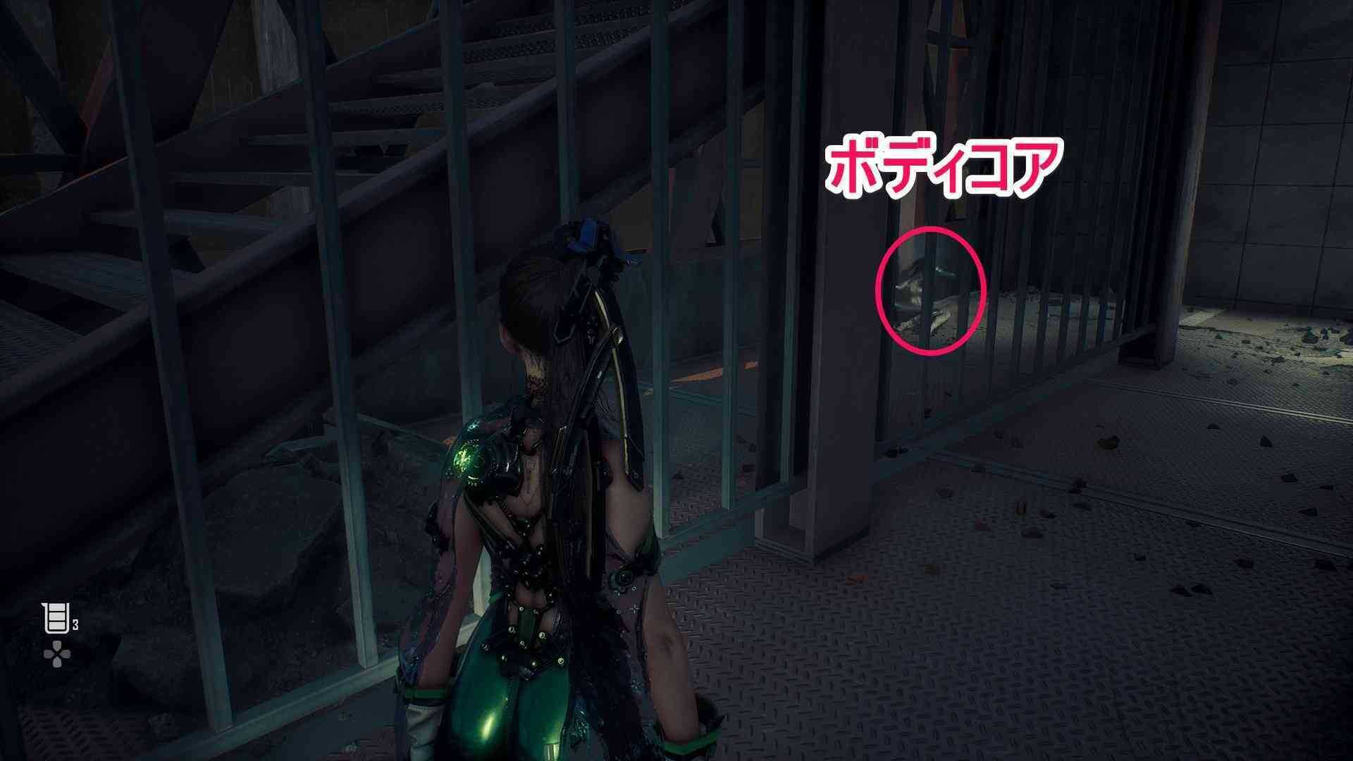 ボディコアの画像