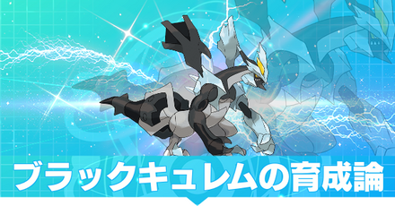ブラックキュレムの育成論