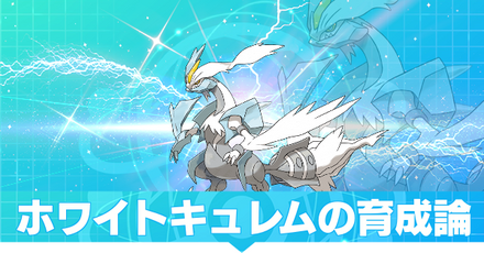 ホワイトキュレムの育成論