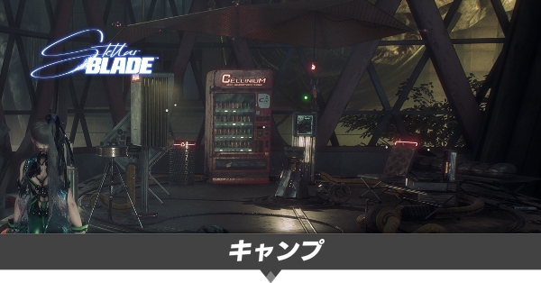 キャンプでできること