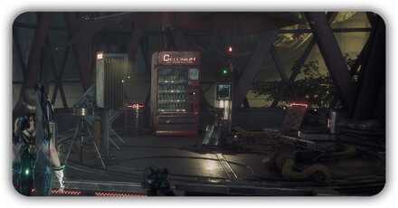 キャンプでできること