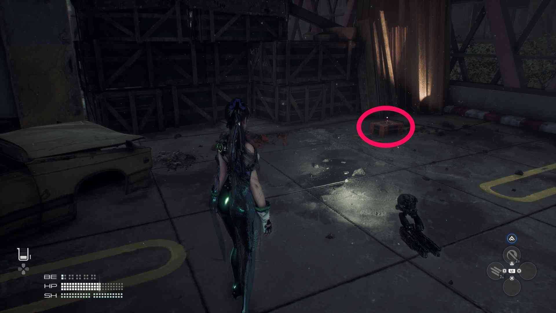 エグゾスパインが入っている箱の画像