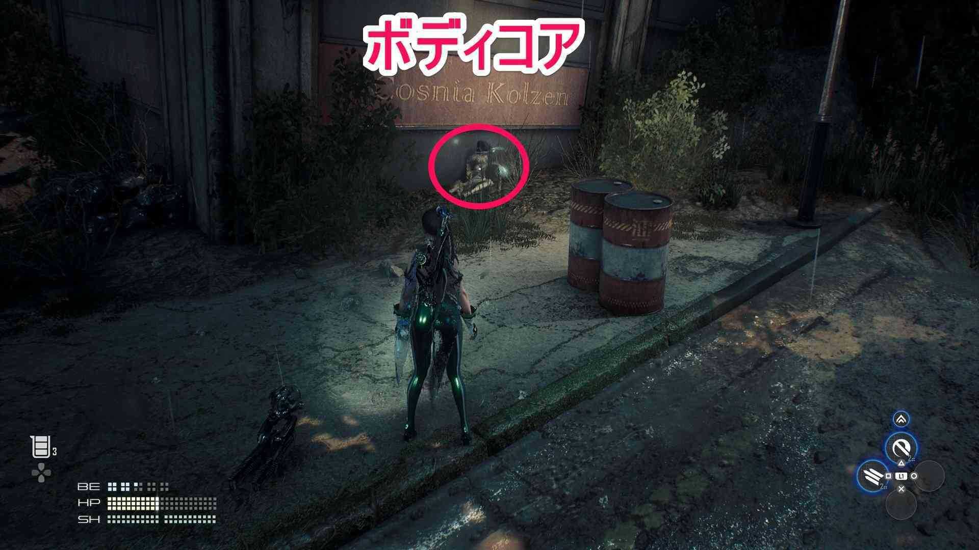 寄り道のボディコアの画像