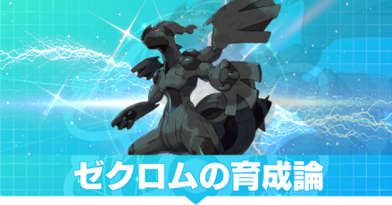 ゼクロムの育成論