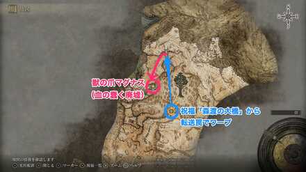 マグナスの場所