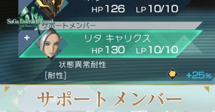 サポートメンバー