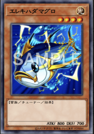 エレキハダマグロ画像