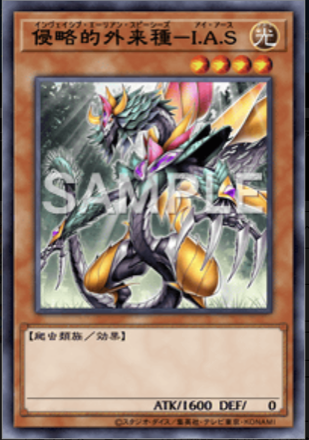 侵略的外来種－I.A.S画像