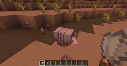 アルマジロの鱗