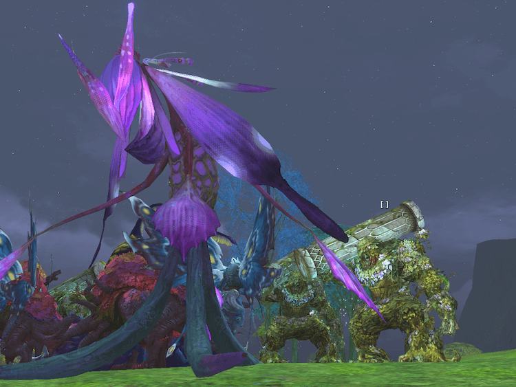 フィレ アフリアス