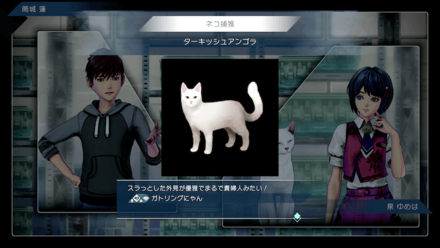 猫を集めて装備を入手したら随時更新