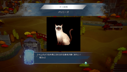 サブヴィジョンの猫集めは積極的に行う