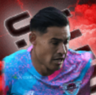 HPヴィニシウスアラウージョ(04/25)画像