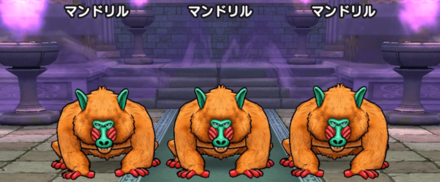 マンドリルの基本情報