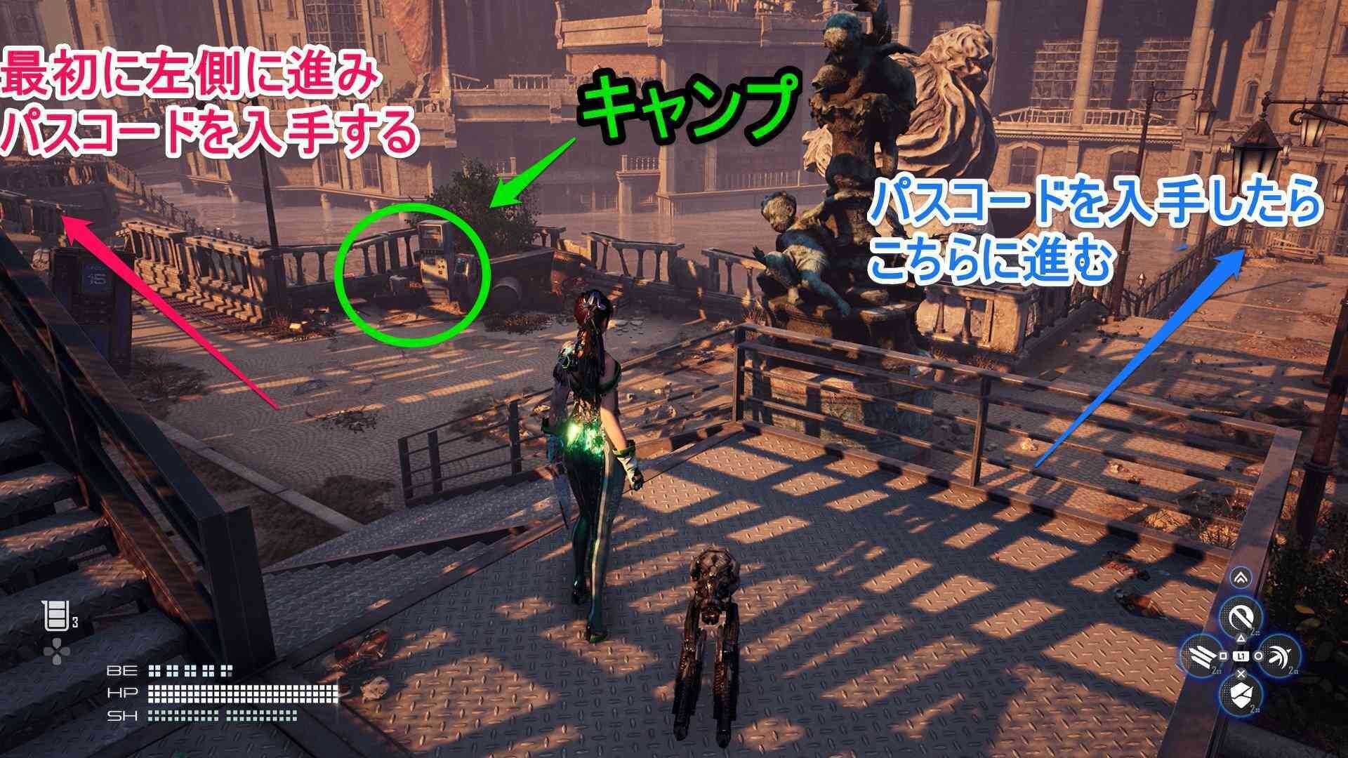 キャンプと分かれ道の画像