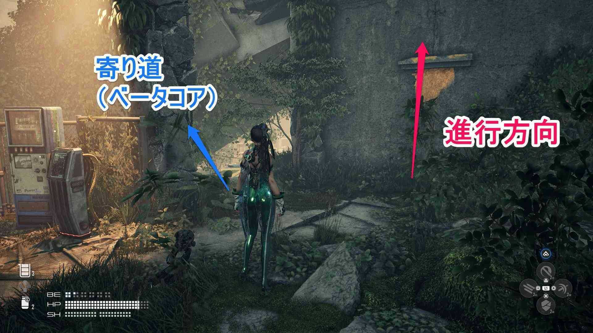 キャンプの先の進行方向と寄り道の画像