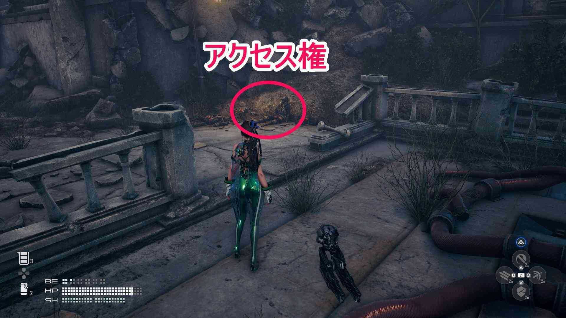 アクセス権の死体の画像