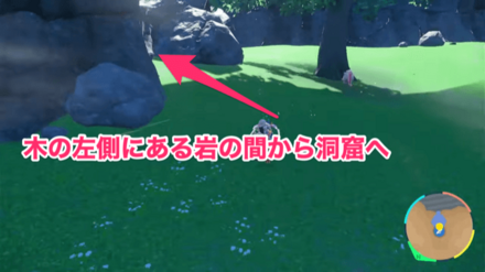 ハバタクカミの出現場所までの行き方④