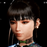 イヤーアーマー画像