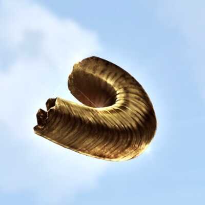 潰えし凶尖画像