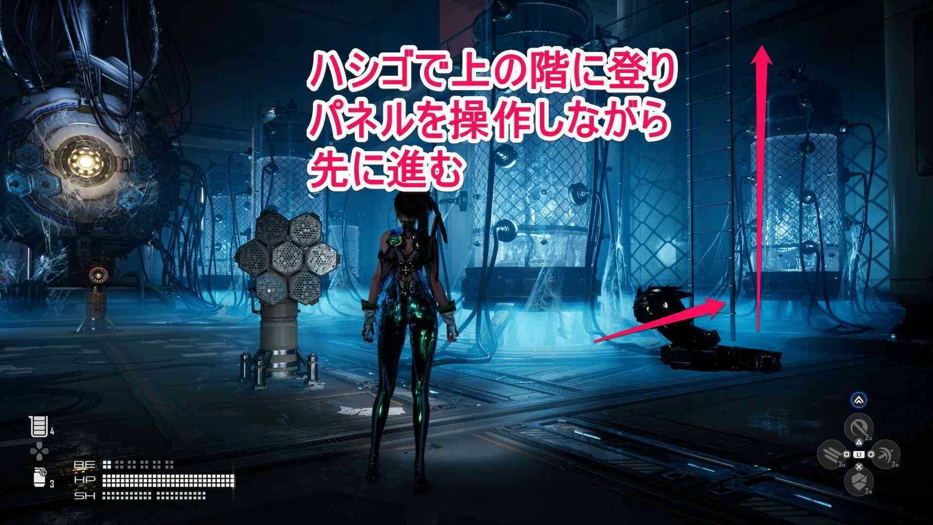 標本保存室のハシゴの画像