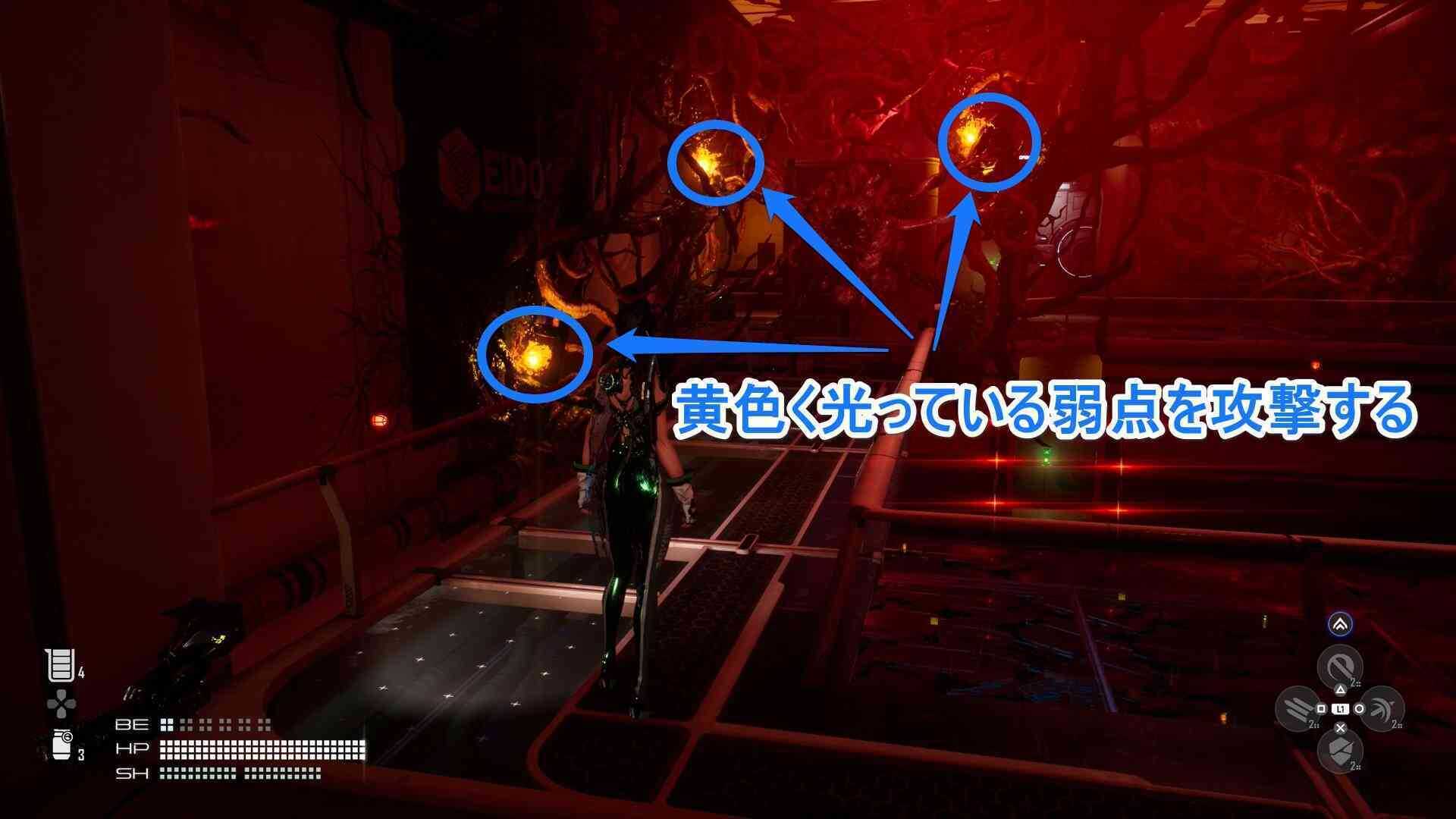 ハイヴの弱点の画像