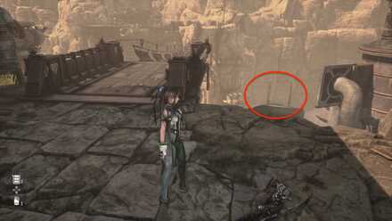 吊り橋横のハシゴ