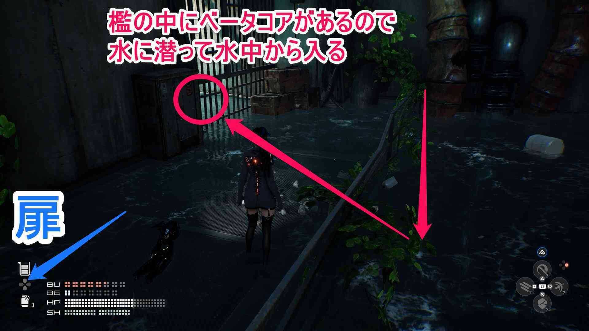 檻の中のベータコアの画像