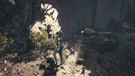 アルテミス49の応答